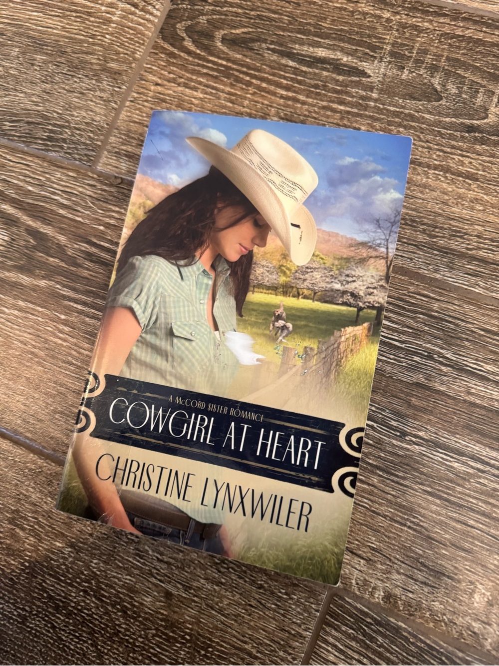 Cowgirl at Heart by Christine Lynxwiler book
